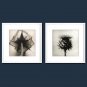Framed Art Print Still Life Floral/Botanical Modern Realism,Two Panels Canvas Square Print Wall De
