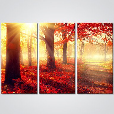 Stretched Canvas Print Three Panels Canvas Horizontal Print Wall Decor For Home Decoration