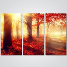 Stretched Canvas Print Three Panels Canvas Horizontal Print Wall Decor For Home Decoration