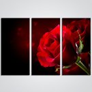 Stretched Canvas Print Three Panels Canvas Horizontal Print Wall Decor For Home Decoration