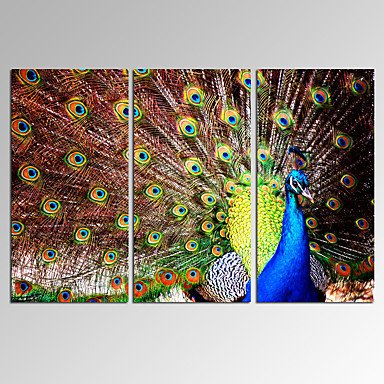VISUAL STAR3 Panel Peacock Photos Print on Canvas Wall Decoration Canvas Art Ready to Hang