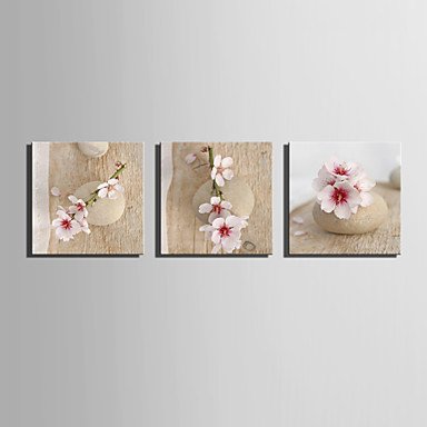 E-HOME Stretched Canvas Art Stone on The Peach Decoration Painting  Set of 3