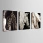 E-HOME Stretched Canvas Art Fine Horse Decoration Painting  Set of 3