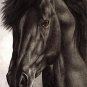 E-HOME Stretched Canvas Art Fine Horse Decoration Painting  Set of 3