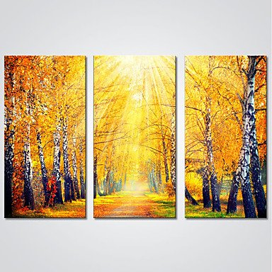 Stretched Canvas Print Three Panels Canvas Horizontal Print Wall Decor For Home Decoration