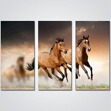 Stretched Canvas Print Three Panels Canvas Horizontal Print Wall Decor For Home Decoration