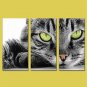 Stretched Canvas Print Three Panels Canvas Horizontal Print Wall Decor For Home Decoration