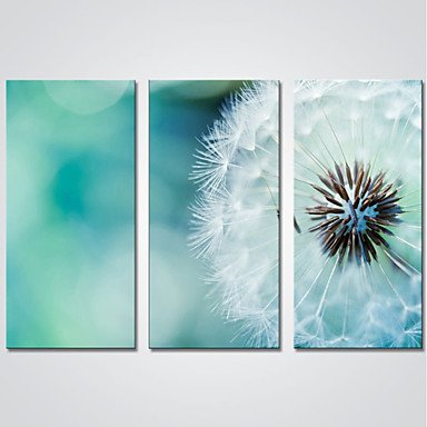 Stretched Canvas Print Three Panels Canvas Horizontal Print Wall Decor For Home Decoration