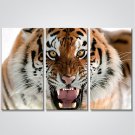 Stretched Canvas Print Three Panels Canvas Horizontal Print Wall Decor For Home Decoration