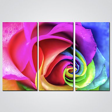 Stretched Canvas Print Three Panels Canvas Horizontal Print Wall Decor For Home Decoration