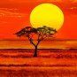 E-HOME Stretched Canvas Art The Sunset In The Field Decoration Painting  Set of 3