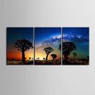 Stretched Canvas Art Desert In The Shadow Of The Tree Set of 3