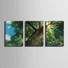 E-HOME Stretched Canvas Art The Tree Decoration Painting Set of 3