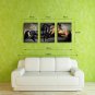 E-HOME Stretched Canvas Art  Horse Decoration Painting Set of 3