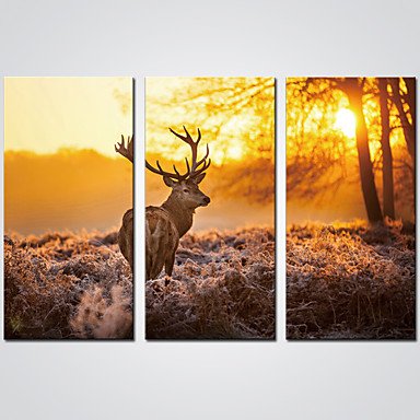 Stretched Canvas Print Three Panels Canvas Horizontal Print Wall Decor For Home Decoration