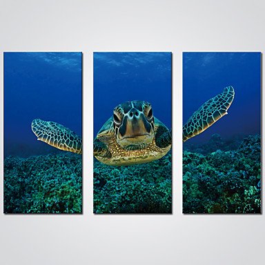 Stretched Canvas Print Three Panels Canvas Horizontal Print Wall Decor For Home Decoration