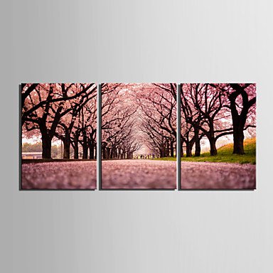 Stretched Canvas Print Art Landscape Path of Sakura Set of 3