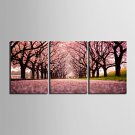 Stretched Canvas Print Art Landscape Path of Sakura Set of 3