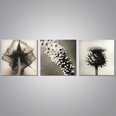 Stretched Canvas Print Floral/Botanical Modern,Three Panels Canvas Horizontal Print Wall Decor For