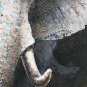Wall Art Canvas Print Ready To Hang