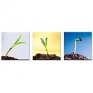 Stretched Canvas Print Contemporary,Three Panels Canvas Horizontal Print Wall Decor For Home Decor