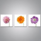 Stretched Canvas Print Contemporary,Three Panels Canvas Horizontal Print Wall Decor For Home Decor