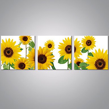 Stretched Canvas Print Floral/Botanical Modern,Three Panels Canvas Horizontal Print Wall Decor For