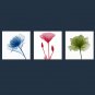 Stretched Canvas Print Floral/Botanical Modern,Three Panels Canvas Horizontal Print Wall Decor For