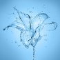 E-HOME Stretched Canvas Art Flowers Made Of Water Decoration Painting Set of 3