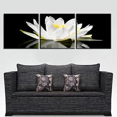 Stretched Canvas Art Floral Graceful White Set of 3
