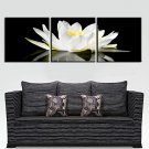 Stretched Canvas Art Floral Graceful White Set of 3