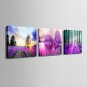 E-HOME Stretched Canvas Art Purple Beauty Decoration Painting  Set of 3