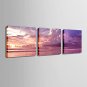 E-HOME Stretched Canvas Art Sea Color Decoration Painting Set of 3