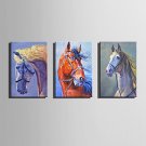 E-HOME Stretched Canvas Art  Horse Charm Decoration Painting One Pcs