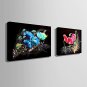 E-HOME Stretched Canvas Art  Flowers In The Dark Decoration Painting One Pcs