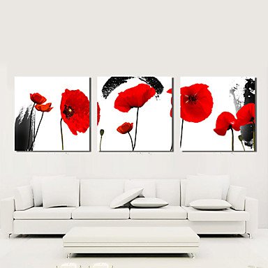 Stretched Canvas Art Botanical Several Popies Set of 3
