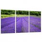 Canvas Set Landscape Floral/Botanical Realism Pastoral,Three Panels Canvas Vertical Print Wall Dec
