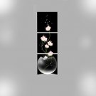 Canvas Set Floral/Botanical Modern Traditional,Three Panels Vertical Print Wall Decor For Home Dec
