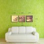 Stretched Canvas Art Floral Tender Orchid Set of 3