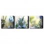 Stretched Canvas Print Botanical Floral Set of 3 1301-0148