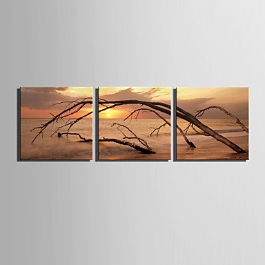 E-HOME Stretched Canvas Art The Dead Sea Decorative Painting Set of 3