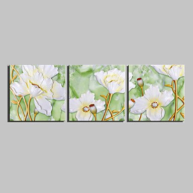 E-HOME Stretched Canvas Art White Flowers Decorative Painting Set of 3