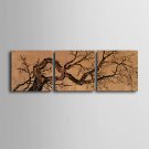 E-HOME Stretched Canvas Art Tree Decorative Painting Set of 3