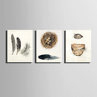 E-HOME Stretched Canvas Art Feather And Leaves The Nest Decoration Painting  Set Of 3