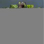 Black Indian Buddha Statue In The Forest 5 Panels Canvas Printings Unframed Pictures Living Room D