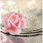 E-HOME Stretched Canvas Art Pink Rose Decorative Painting Set of 3