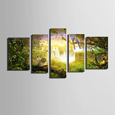 E-HOME Stretched Canvas Art The Amazing Animals in The Forest Decoration Painting  Set Of 5