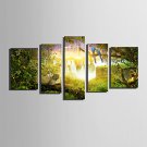 E-HOME Stretched Canvas Art The Amazing Animals in The Forest Decoration Painting  Set Of 5