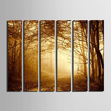 E-HOME Stretched Canvas Art Woods In The Mist Decoration Painting  Set Of 6