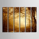 E-HOME Stretched Canvas Art Woods In The Mist Decoration Painting  Set Of 6